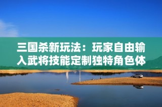 三国杀新玩法：玩家自由输入武将技能定制独特角色体验