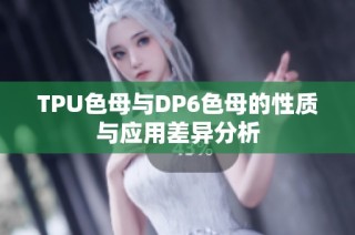 TPU色母与DP6色母的性质与应用差异分析