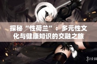 探秘“性荷兰”：多元性文化与健康知识的交融之旅