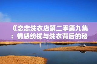 《恋恋洗衣店第二季第九集：情感纷扰与洗衣背后的秘密》