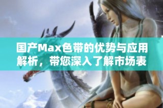 国产Max色带的优势与应用解析，带您深入了解市场表现