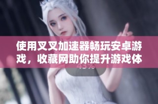 使用叉叉加速器畅玩安卓游戏，收藏网助你提升游戏体验