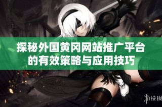 探秘外国黄冈网站推广平台的有效策略与应用技巧