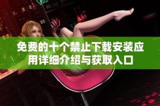 免费的十个禁止下载安装应用详细介绍与获取入口