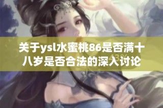 关于ysl水蜜桃86是否满十八岁是否合法的深入讨论
