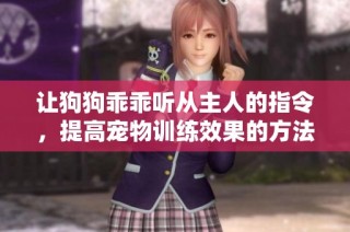 让狗狗乖乖听从主人的指令，提高宠物训练效果的方法