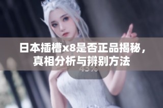 日本插槽x8是否正品揭秘，真相分析与辨别方法