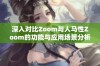 深入对比Zoom与人马性Zoom的功能与应用场景分析