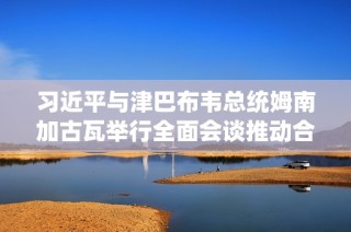 习近平与津巴布韦总统姆南加古瓦举行全面会谈推动合作发展