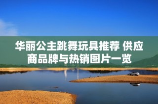 华丽公主跳舞玩具推荐 供应商品牌与热销图片一览