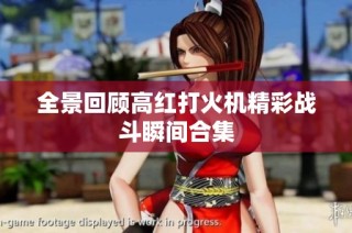 全景回顾高红打火机精彩战斗瞬间合集