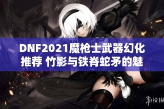 DNF2021魔枪士武器幻化推荐 竹影与铁脊蛇矛的魅力分析