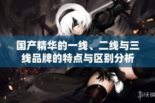 国产精华的一线、二线与三线品牌的特点与区别分析