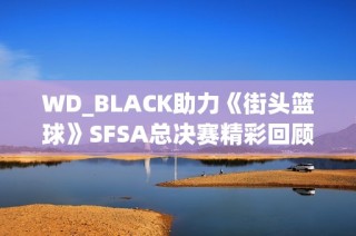 WD_BLACK助力《街头篮球》SFSA总决赛精彩回顾与赛况分析