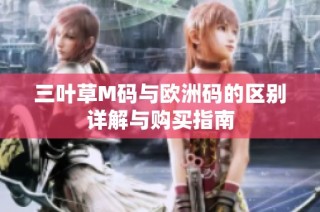 三叶草M码与欧洲码的区别详解与购买指南