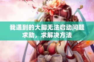我遇到的大脚无法启动问题求助，求解决方法