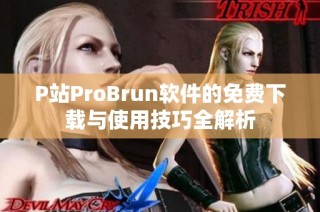 P站ProBrun软件的免费下载与使用技巧全解析