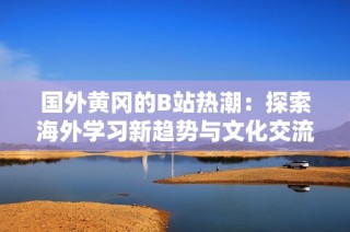 国外黄冈的B站热潮：探索海外学习新趋势与文化交流