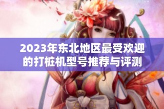 2023年东北地区最受欢迎的打桩机型号推荐与评测