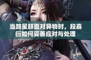 当路星辞面对异物时，段嘉衍如何妥善应对与处理