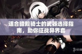 适合暗殿骑士的武器选择指南，助你征战异界套