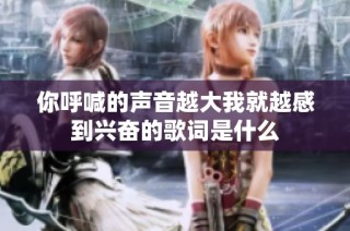你呼喊的声音越大我就越感到兴奋的歌词是什么