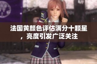 法国黄颜色评估满分十颗星，亮度引发广泛关注