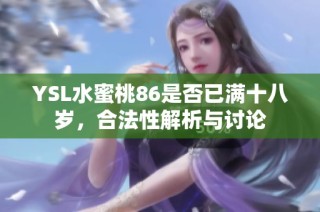 YSL水蜜桃86是否已满十八岁，合法性解析与讨论