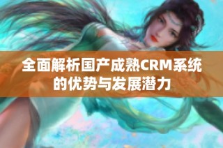 全面解析国产成熟CRM系统的优势与发展潜力