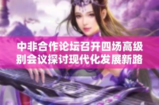 中非合作论坛召开四场高级别会议探讨现代化发展新路径