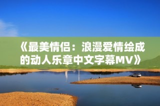 《最美情侣：浪漫爱情绘成的动人乐章中文字幕MV》
