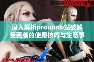 深入解析prouhnb站破解免费版的使用技巧与注意事项