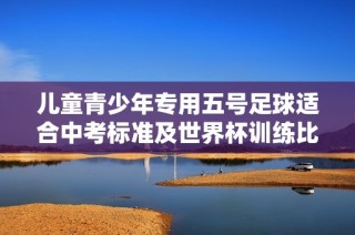 儿童青少年专用五号足球适合中考标准及世界杯训练比赛