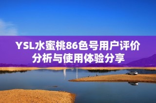 YSL水蜜桃86色号用户评价分析与使用体验分享
