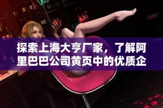探索上海大亨厂家，了解阿里巴巴公司黄页中的优质企业推荐