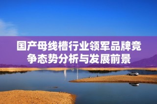 国产母线槽行业领军品牌竞争态势分析与发展前景