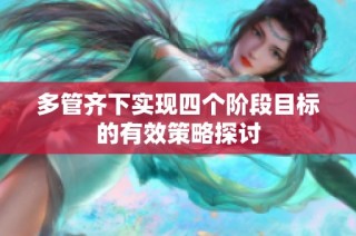多管齐下实现四个阶段目标的有效策略探讨