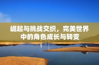 崛起与挑战交织，完美世界中的角色成长与转变