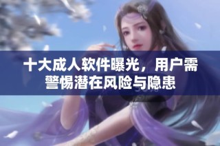 十大成人软件曝光，用户需警惕潜在风险与隐患