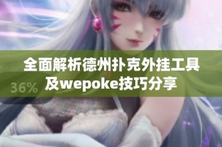 全面解析德州扑克外挂工具及wepoke技巧分享