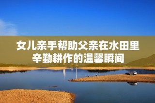 女儿亲手帮助父亲在水田里辛勤耕作的温馨瞬间