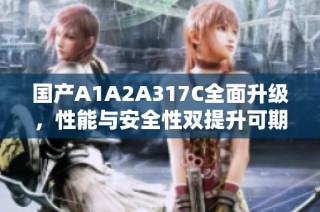 国产A1A2A317C全面升级，性能与安全性双提升可期