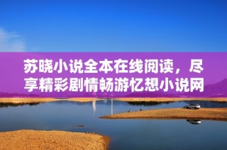 苏晓小说全本在线阅读，尽享精彩剧情畅游忆想小说网