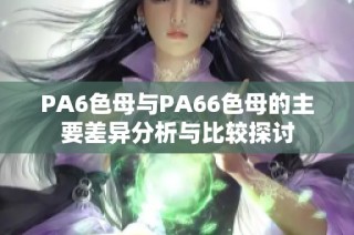 PA6色母与PA66色母的主要差异分析与比较探讨