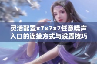 灵活配置x7x7x7任意噪声入口的连接方式与设置技巧
