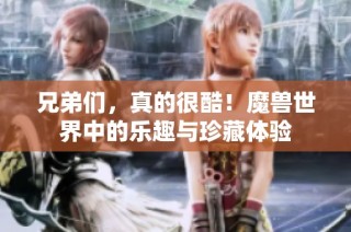 兄弟们，真的很酷！魔兽世界中的乐趣与珍藏体验