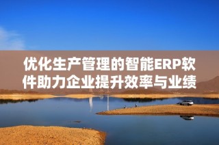 优化生产管理的智能ERP软件助力企业提升效率与业绩
