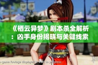 《栖云异梦》剧本杀全解析：凶手身份揭晓与关键线索探究