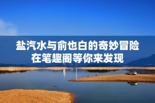盐汽水与俞也白的奇妙冒险在笔趣阁等你来发现