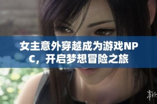 女主意外穿越成为游戏NPC，开启梦想冒险之旅
